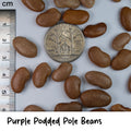 Annual Seeds